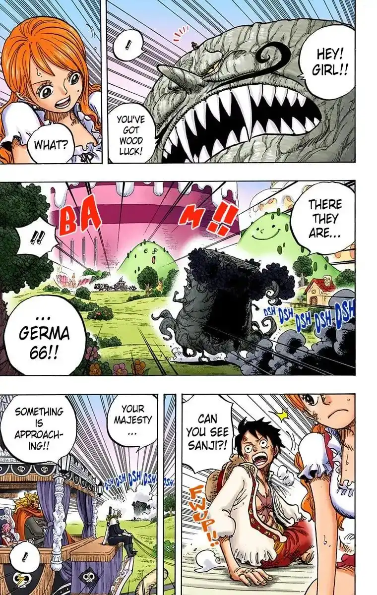 One Piece - Digital Colored Comics Chapter 843 12